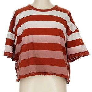 Madewell Rust and White Striped Tee